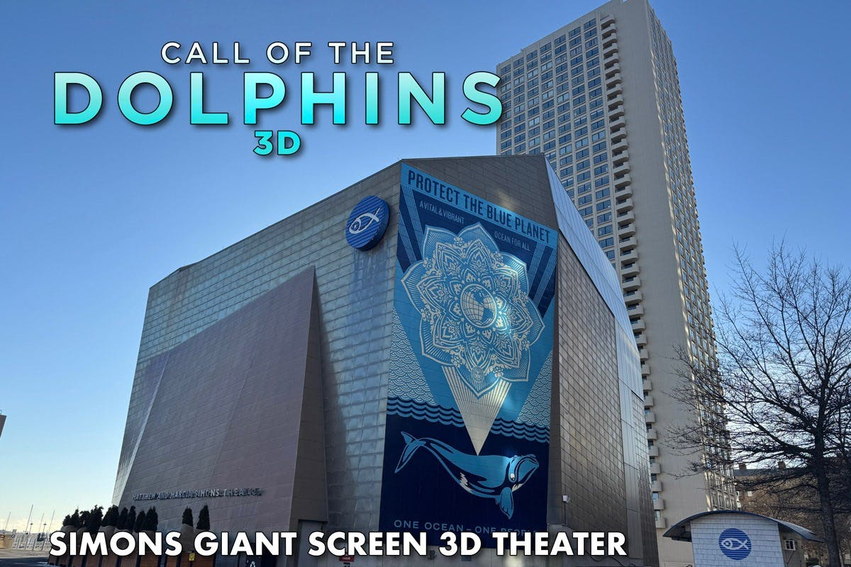 Simons Theater at the New England Aquarium: Call of the Dolphins 3D Film - Photo 1 of 3